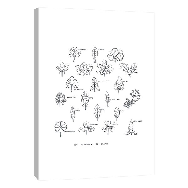 PTM Images 9-105614 PTM Canvas Collection 10" x 8" - "Inventory of Leaves" Giclee Leaves Art Print on Canvas