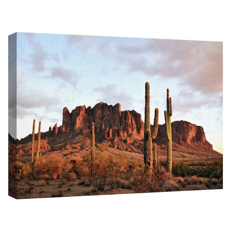 Amber Desertscape by Belle Maison Canvas Art Print