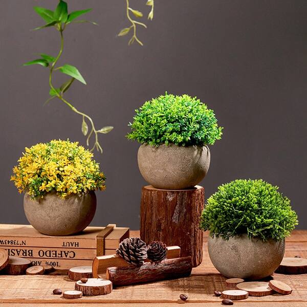 bonsai dünger saidung Bonsaidünger - Mineralischer NPK Flüssigdünger mit Stickstoff main image 0