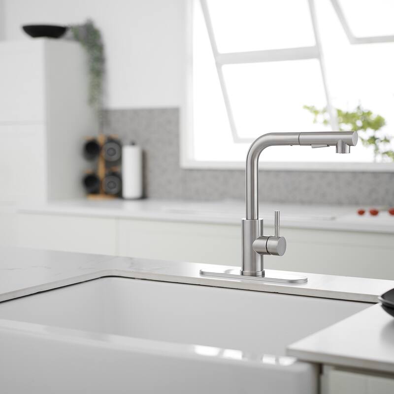 WIZ Pull Out Kitchen Faucet with Pull Down Sprayer