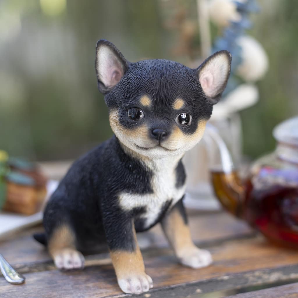 Sitting Chihuahua Puppy Outdoor Garden Statue - 6.25" - Black and White