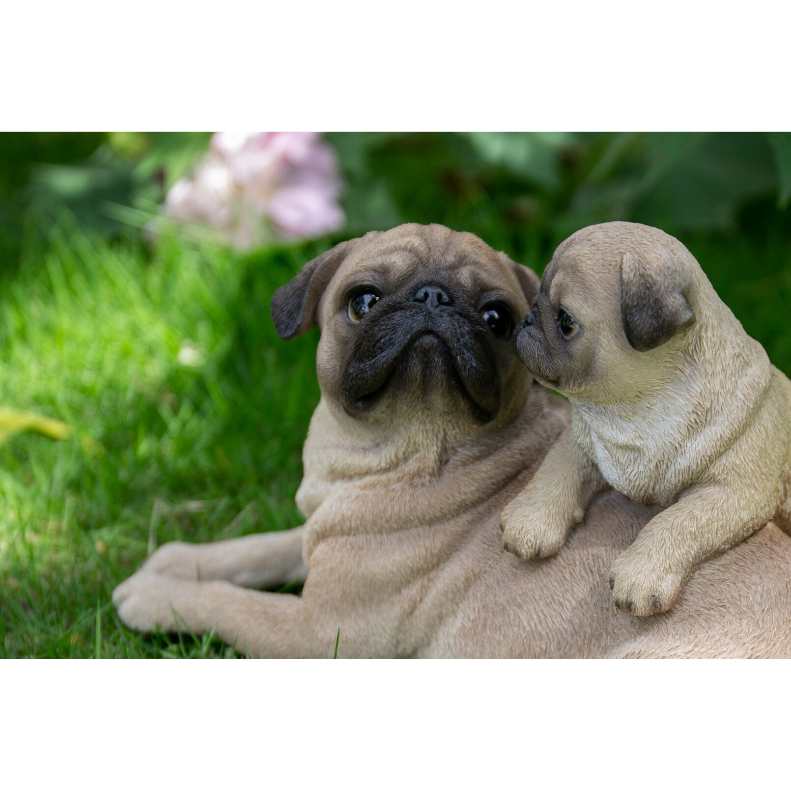 Real baby pugs deals