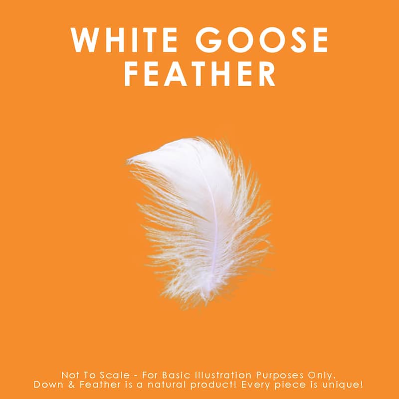 Canadian Down & Feather Company White Goose Feather Comforter All Season weight