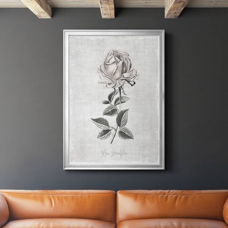 Vintage Botanical II Premium Framed Print - Ready to Hang