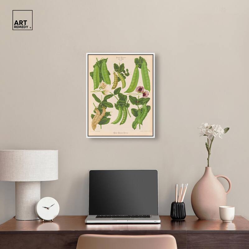 Podded Peas from Benary 1876 Canvas by Art Remedy
