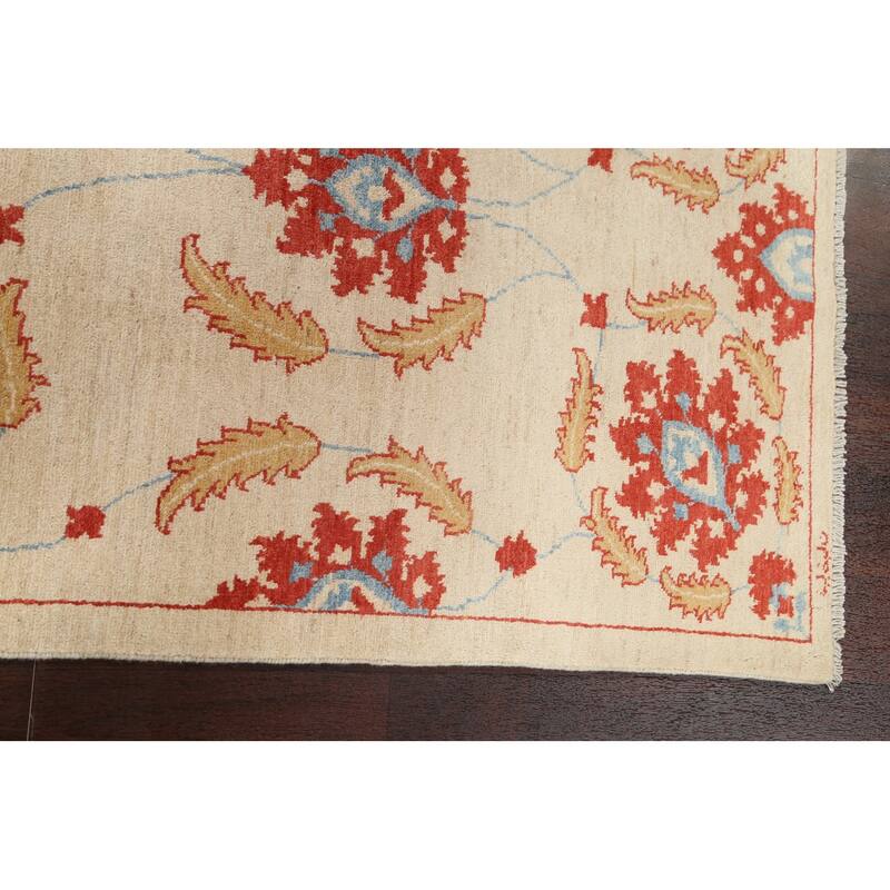 Vegetable Dye Floral Ziegler Area Rug Wool Hand-knotted Foyer Carpet - 3'2" x 4'4"