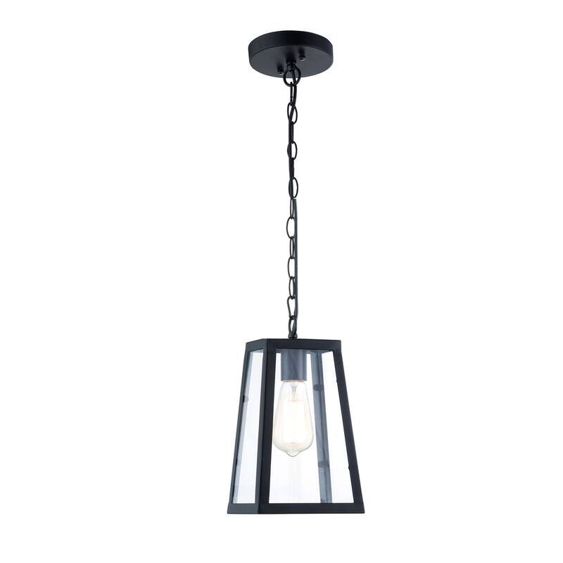 Light Society Serendipity Black/Clear Glass/Iron/Metal Pendant Lamp