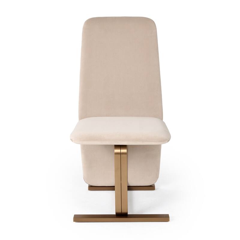Modrest Tasha Modern Light Beige Grey Velvet & Brushed Brass Dining Chair (Set of 2)