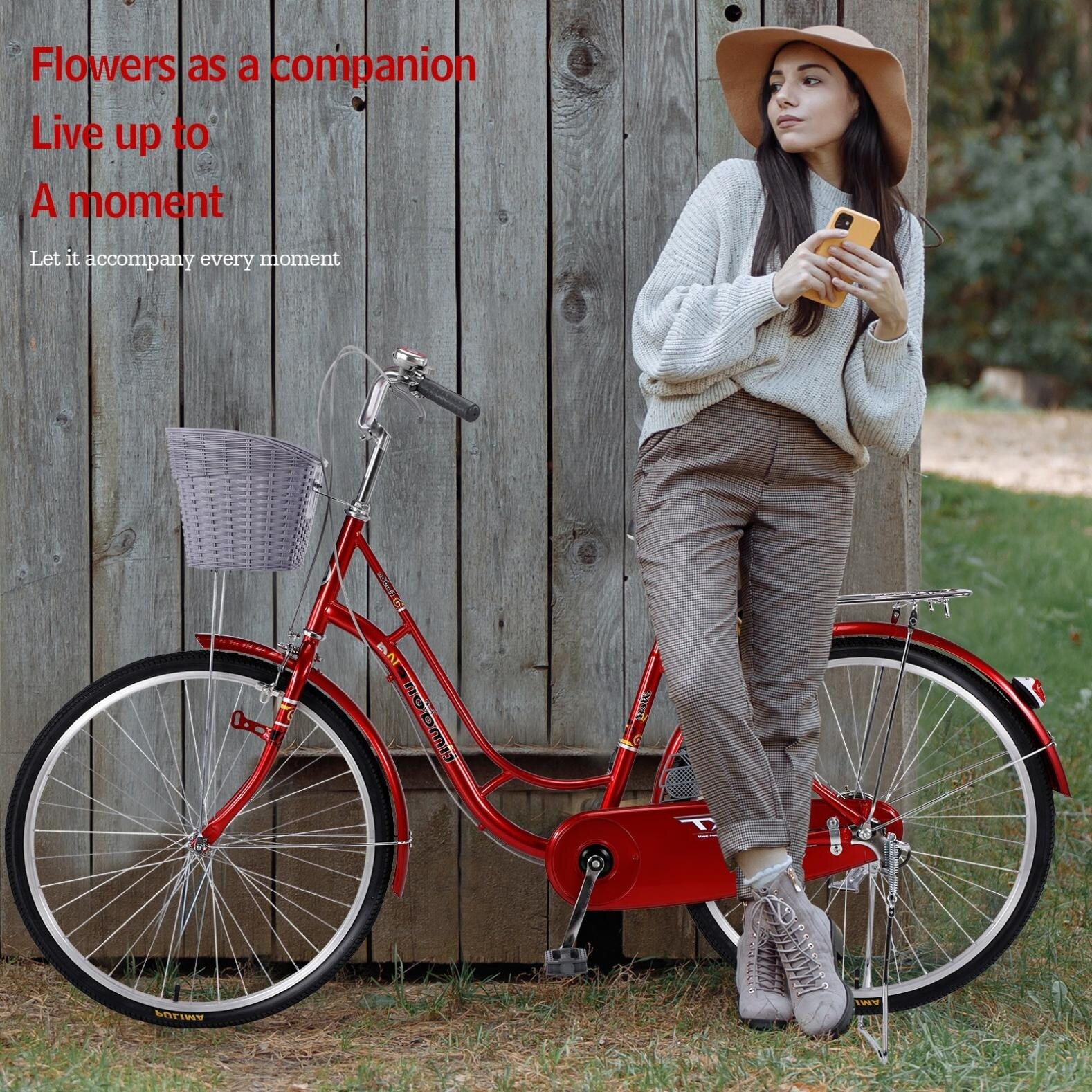 26 Inch Ladies Bicycle Convenient And Quick Princess Car City