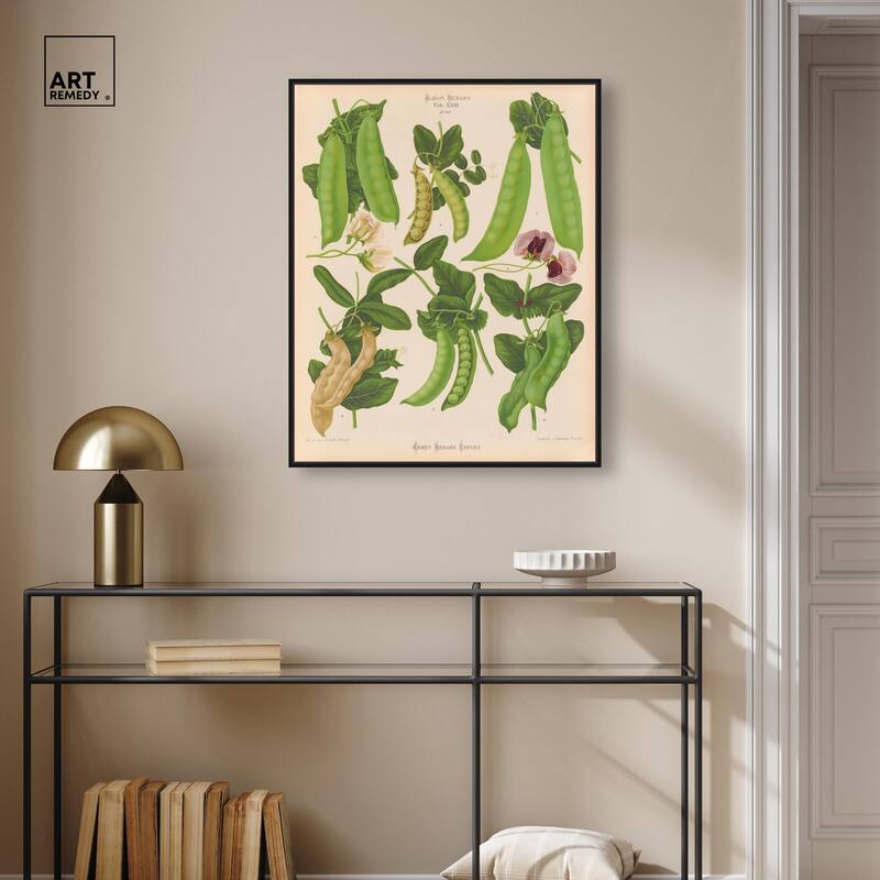 Podded Peas from Benary 1876 Canvas by Art Remedy