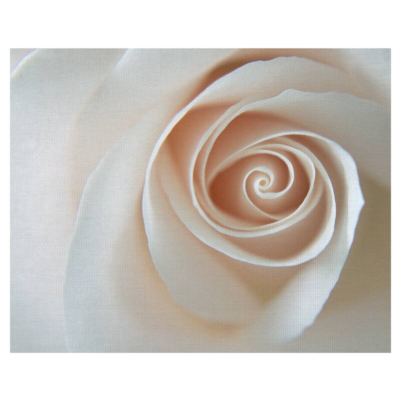 White Rose Swirl by Grand Image Canvas Art Print