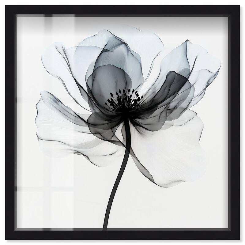 Midania II Shadowbox by Art Remedy - Black - 20" x 20"