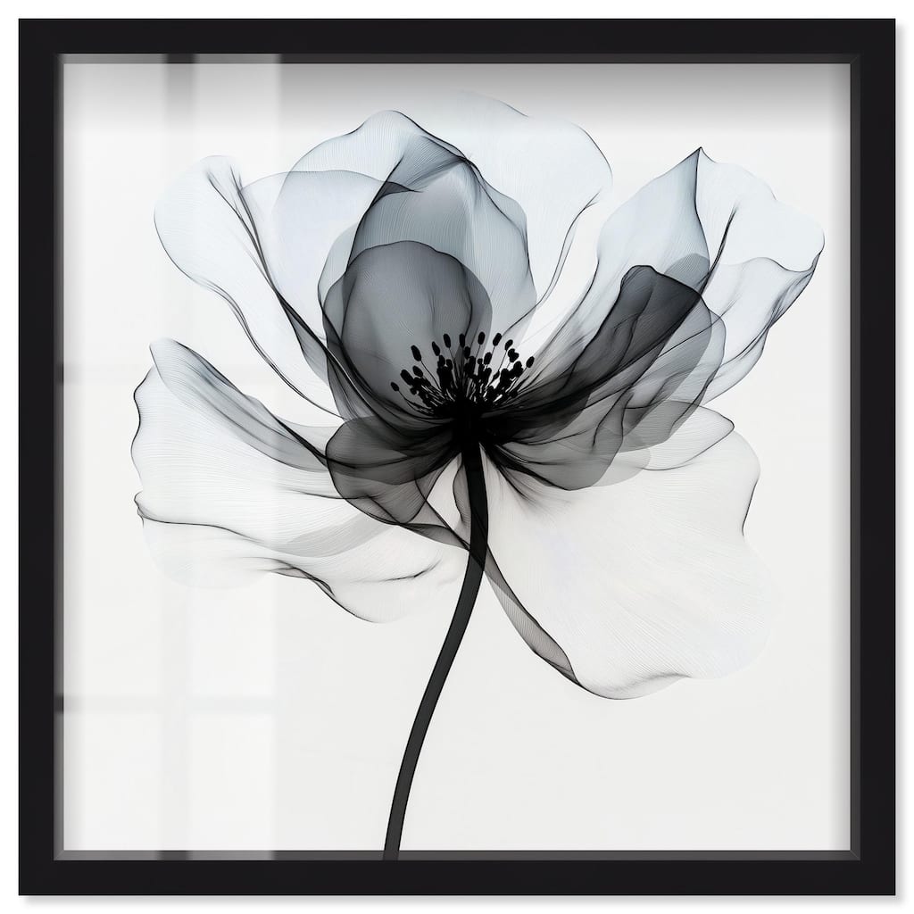 Midania II Shadowbox by Art Remedy