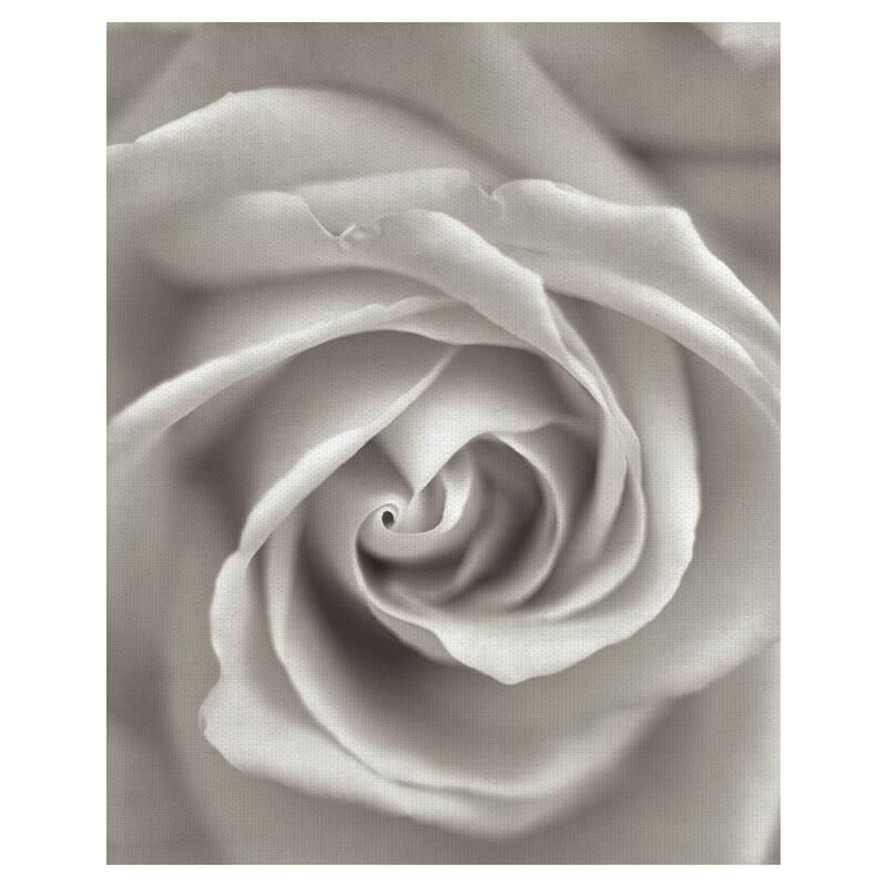 Florison #23 Canvas Art Print