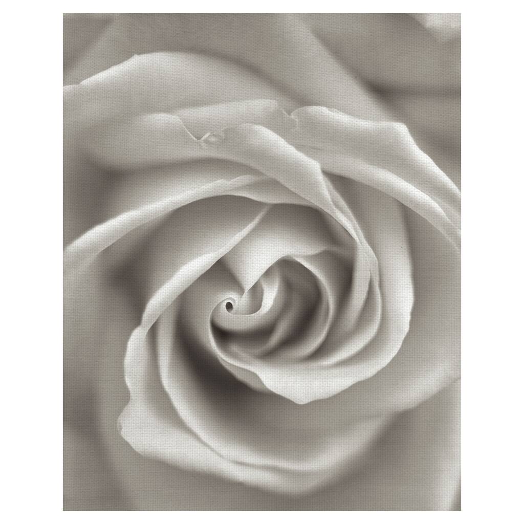 Florison #23 Canvas Art Print
