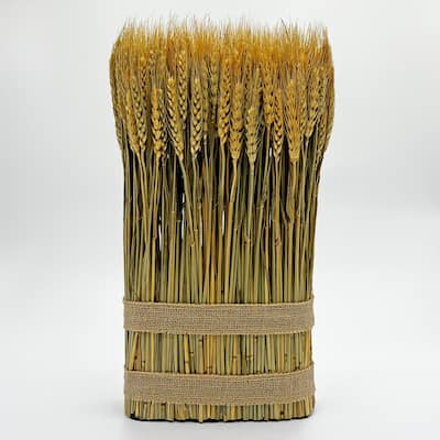 Preserved Decorative Wheat Standing Plant - Gold - 15.5 inches