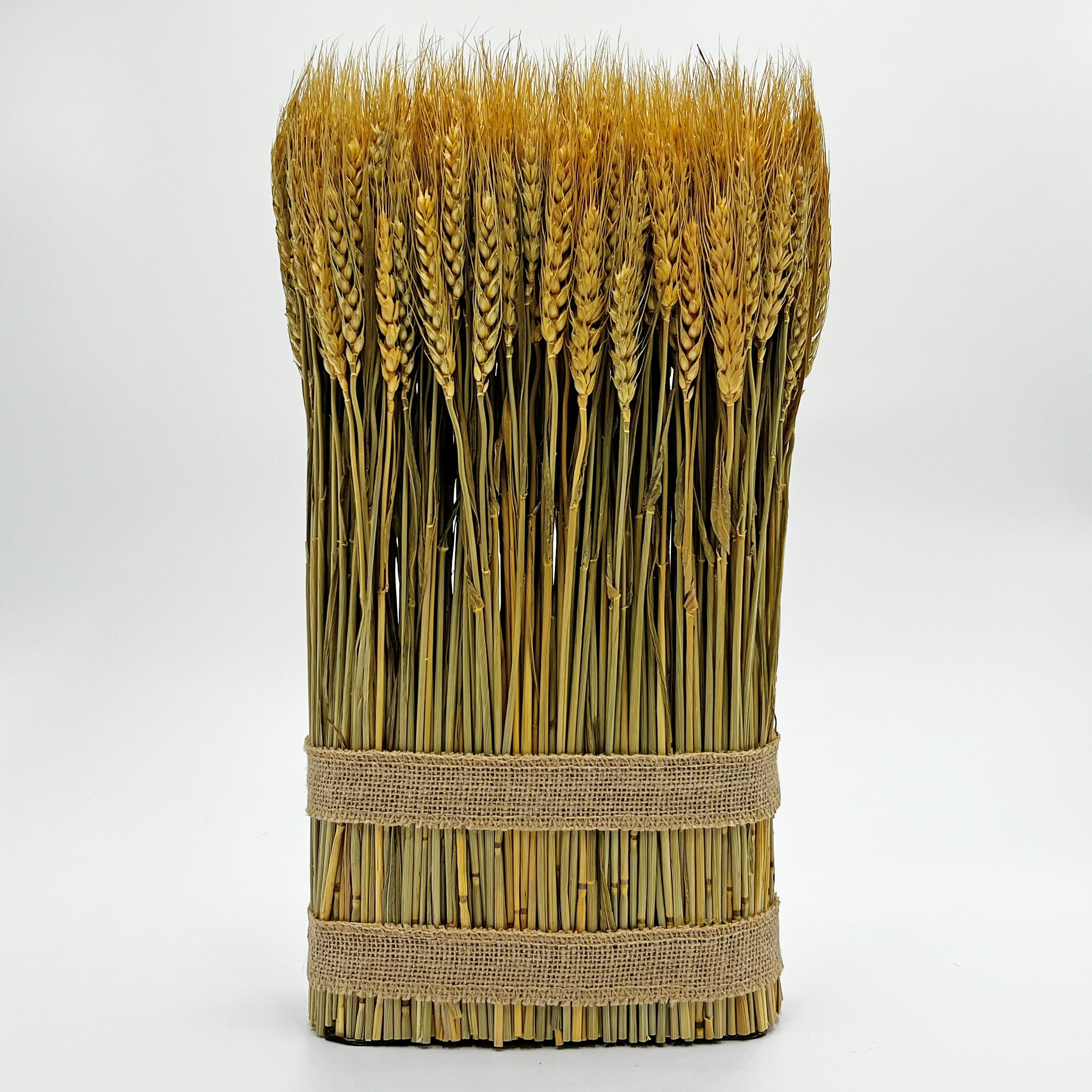 Preserved Decorative Wheat Arrangement Standing Plant – Natural Gold Botanical Accent for Spring Home Décor - 15.5 inches