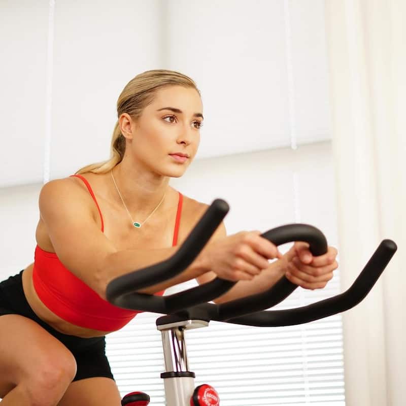 Sunny Health & Fitness SF-B1509 Belt Drive Premium Indoor Cycling Bike