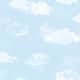 Option Sky Blue