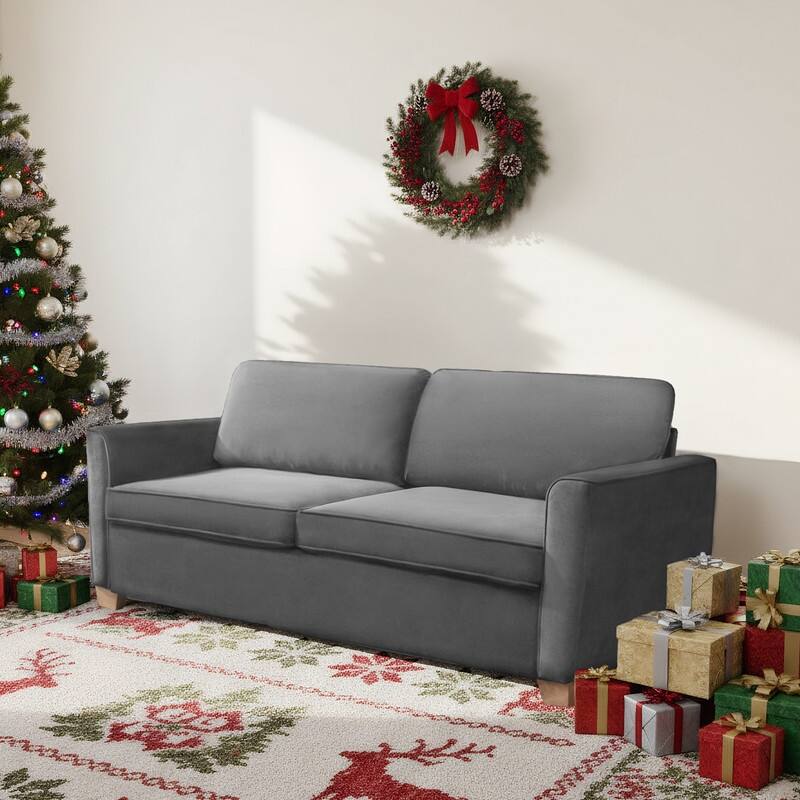 MIxoy Modern Velvet Queen Size 2-in-1 Pull Out Sleep Sofa Bed