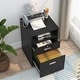 preview thumbnail 11 of 19, 2 Drawer Mobile File Cabinet with Lock, Filing Cabinet Printer Stand for Letter Size