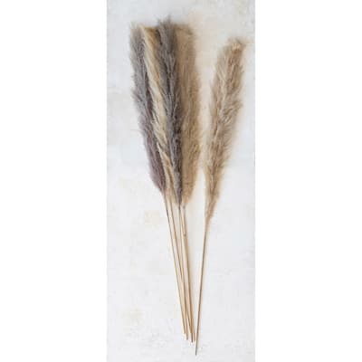 Dried Pampas Grass Bunch - 6.0"L x 6.0"W x 67.0"H