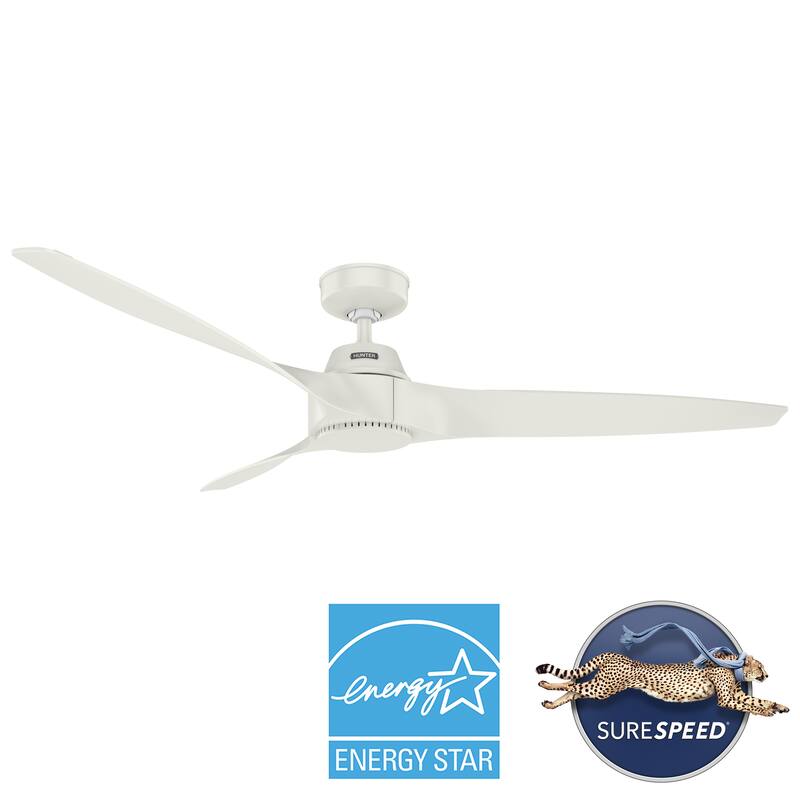Hunter 60" Mosley ENERGY STAR Ceiling Fan w/ Wall Control - Damp Rated!