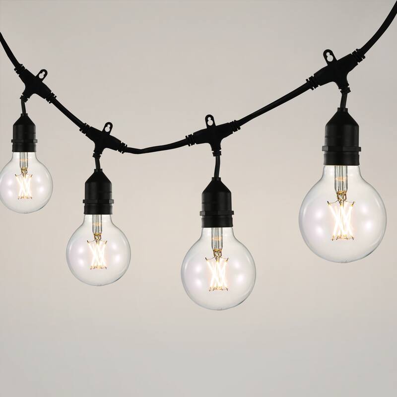 Light Society Set of 4 Niva G25 LED Filament Light Bulbs
