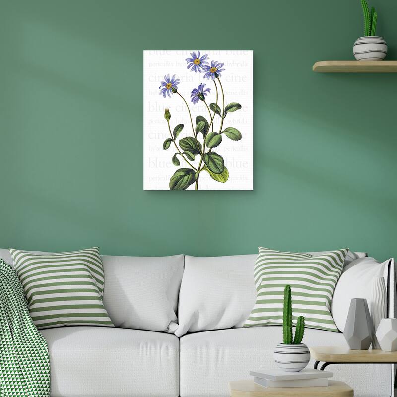 Blue Cineraria Text by Design Lab Canvas Art Print