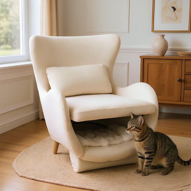 Furniture Style 2 in 1 Pet Friendly Modern Velvet Lounge Chair, Upholstered Back Accent Chair