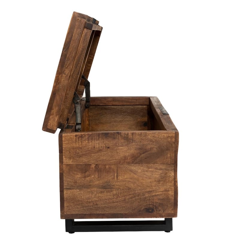 Zoe Storage Trunk by Kosas Home