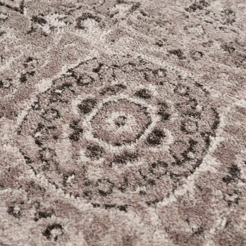 Albie Oriental Persian Medallion Area Rug