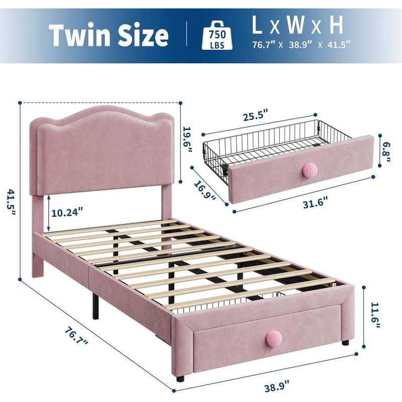 Upholstered Bed Frame for Kids with Storage Drawer and Scallop Headboard, No Box Spring Needed