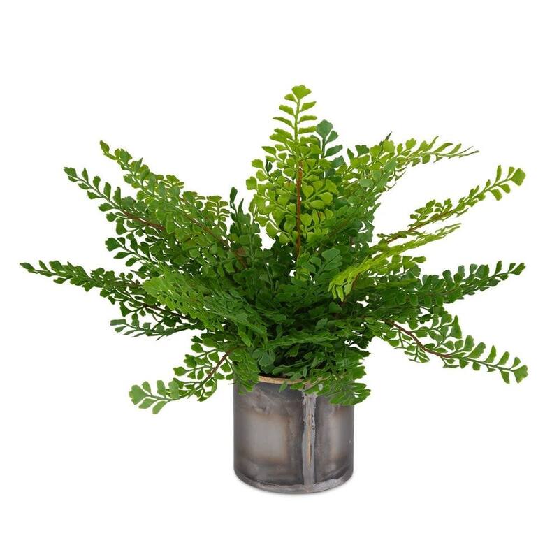 Uttermost 60237 Maidenhair Fern 14" Tall Metal Faux Flora Planter - Oxidized Metal