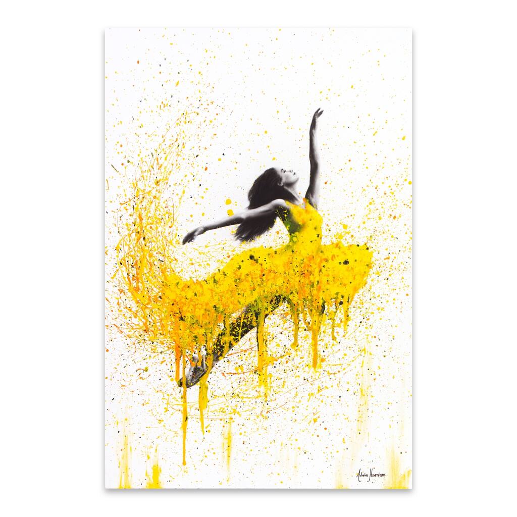Ballerina Ballet Ballet Dancer Dancing Metal Wall Art Print