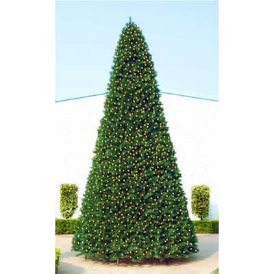 12' Pre-Lit Green Slim Pine Artificial Christmas Tree - Clear Lights - over-10-feet