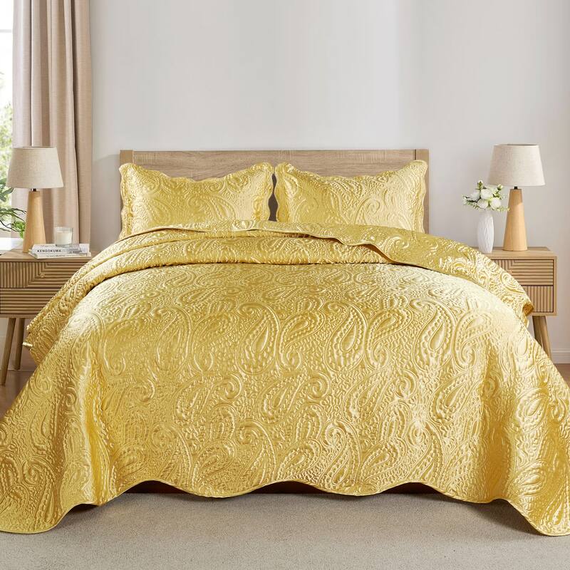 3-Piece Paisley Design Lightweight Bedding Set