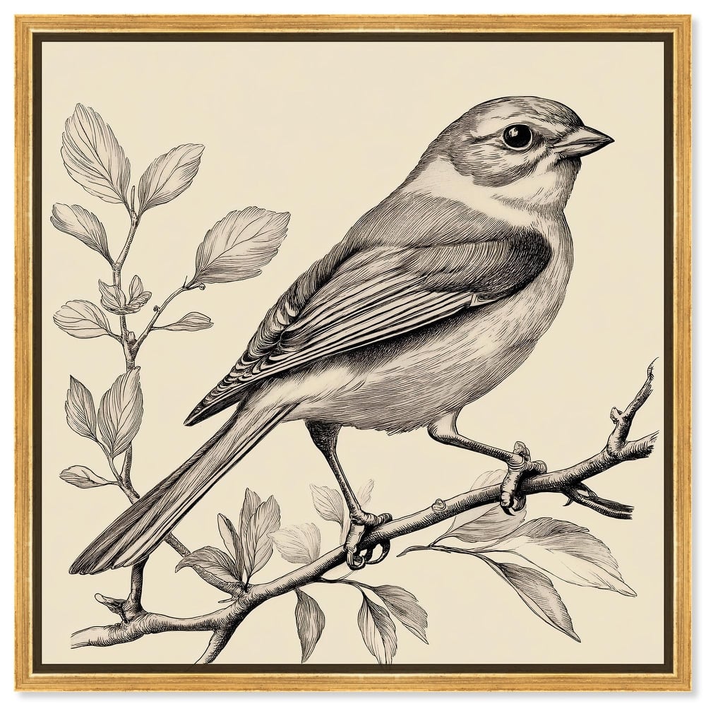 Bird's Gaze Canvas by Art Remedy