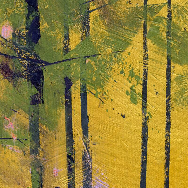 Simple Spruce Canvas Art Print