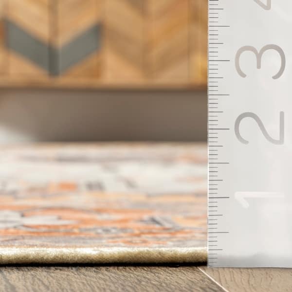 Nuloom Cira SpinClean Traditional Vintage Machine Washable Area Rug