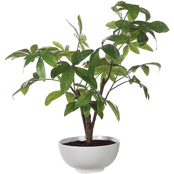 slide 2 of 5, Uttermost 60225 Pachira Money 34-1/2" Tall Ceramic Faux Flora Planter White