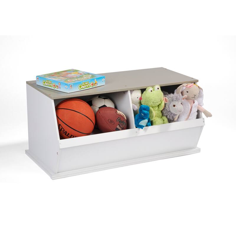Taylor & Olive Lantana Two Bin Stackable Storage Cubby