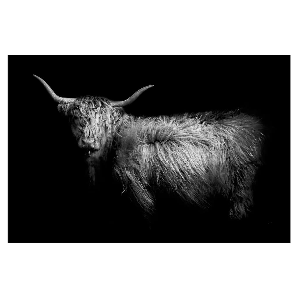 Hello by Studio Arts Canvas Art Print