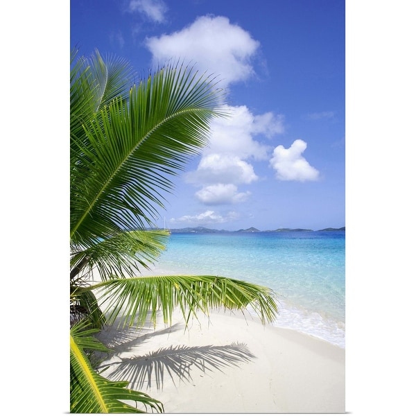 "Coconut palm tree, beach, and ocean in the Virgin Islands, Caribbean" Poster Print