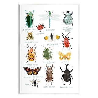 Stupell Educational Bug Types Wall Plaque Art Design By Hanna Melin ...