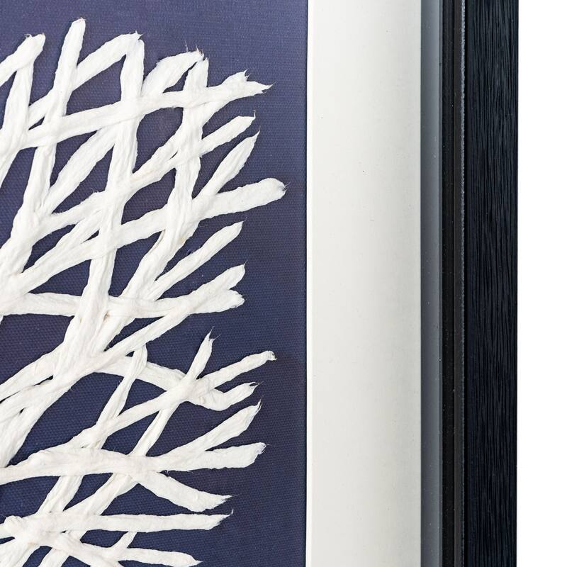 Sea Fan, Shadow Box
