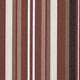 Option Maroon Stripe