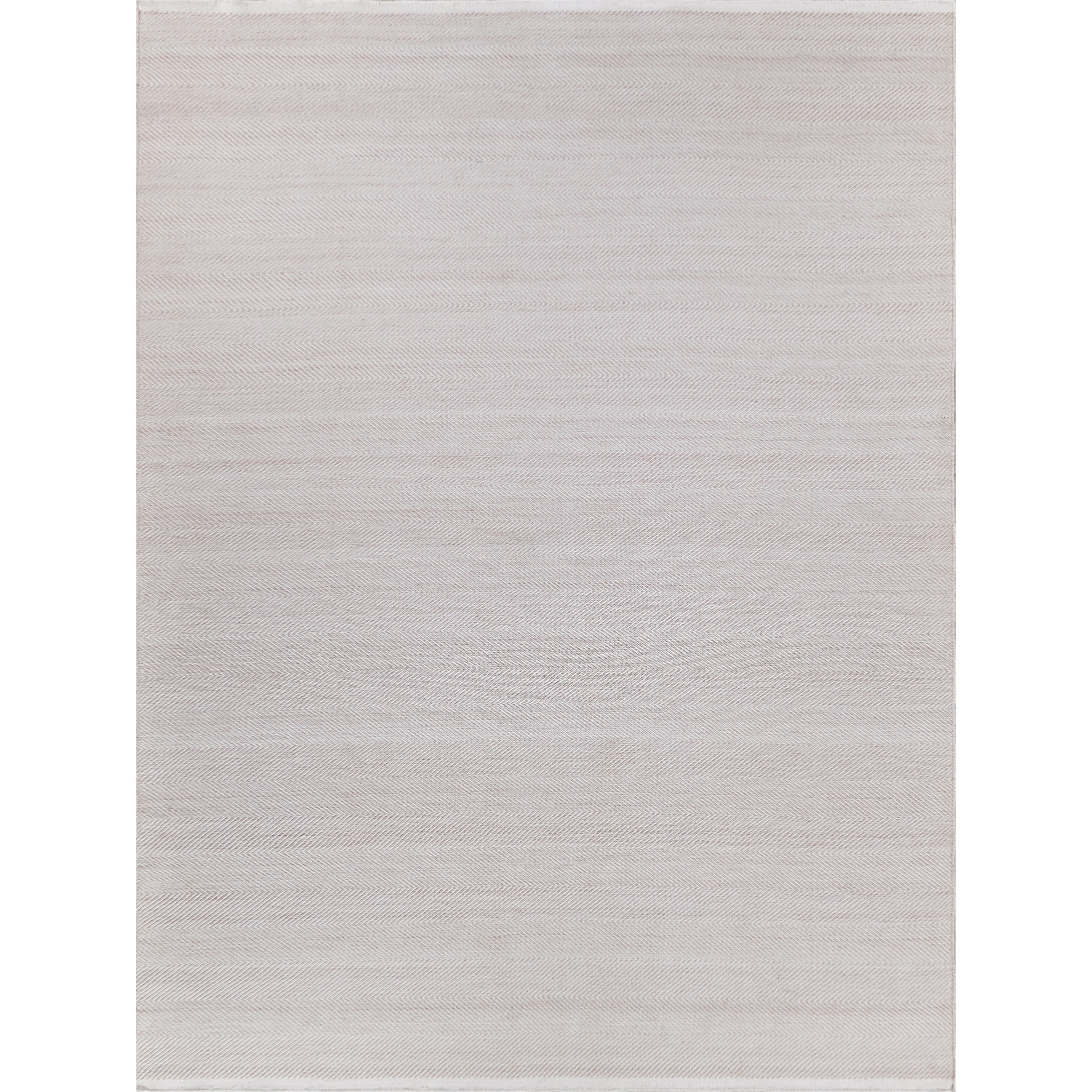EXQUISITE RUGS Bintan Indoor/Outdoor Flatweave PET yarn Ivory/Beige Area Rug.