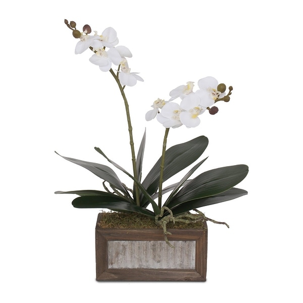 Real Touch White Phalaenopsis Orchids and Leaves in Wood Pot - 12W x 6D x 17H. Opens flyout.