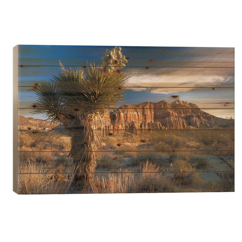 Joshua Tree At Red Rock State Park, California Print On Wood by Tim Fitzharris - Multi-Color - 18x26x1.5